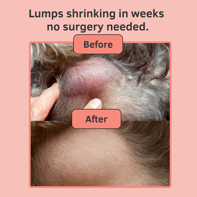 Purely Paw Probiotics Turkey Tail+