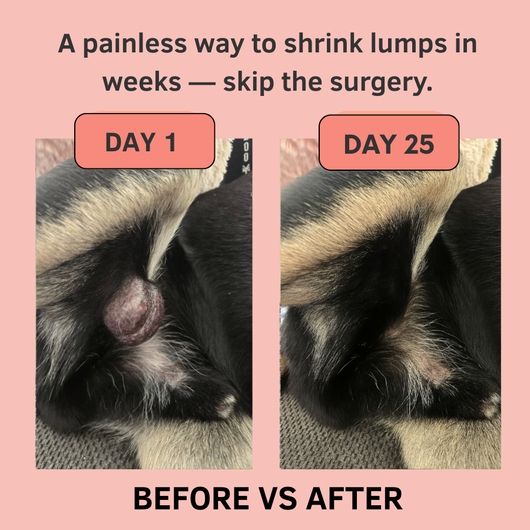 Purely Paw Probiotics Turkey Tail+