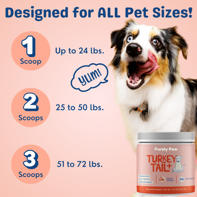 Turkey Tail+ Probiotics for IVDD