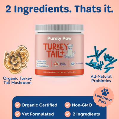 Turkey Tail+ Probiotics for IVDD