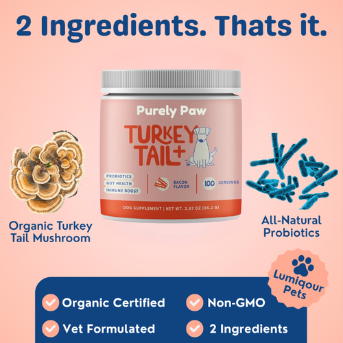 Turkey Tail+ Probiotics for IVDD