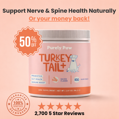 Turkey Tail+ Probiotics for IVDD