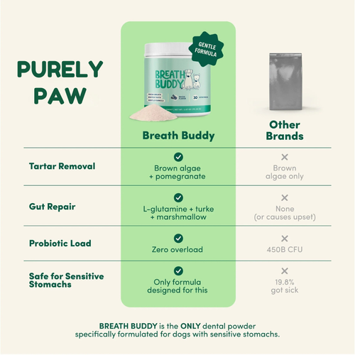 Breath Buddy™ Daily Dental Powder