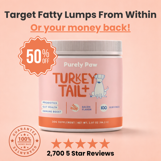 Turkey Tail+ Probiotics for lumps