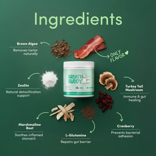Breath Buddy™ Daily Dental Powder