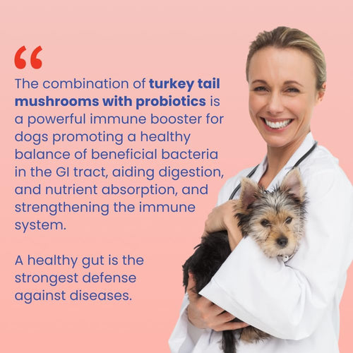 Purely Paw Probiotics Turkey Tail+