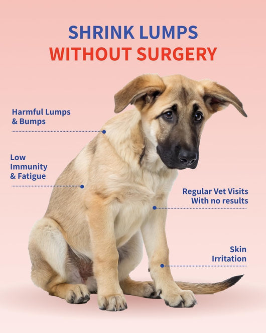 Purely Paw Probiotics Turkey Tail+