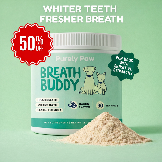 Breath Buddy™ Daily Dental Powder