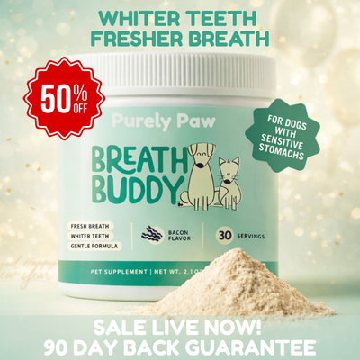 Breath Buddy™ Daily Dental Powder