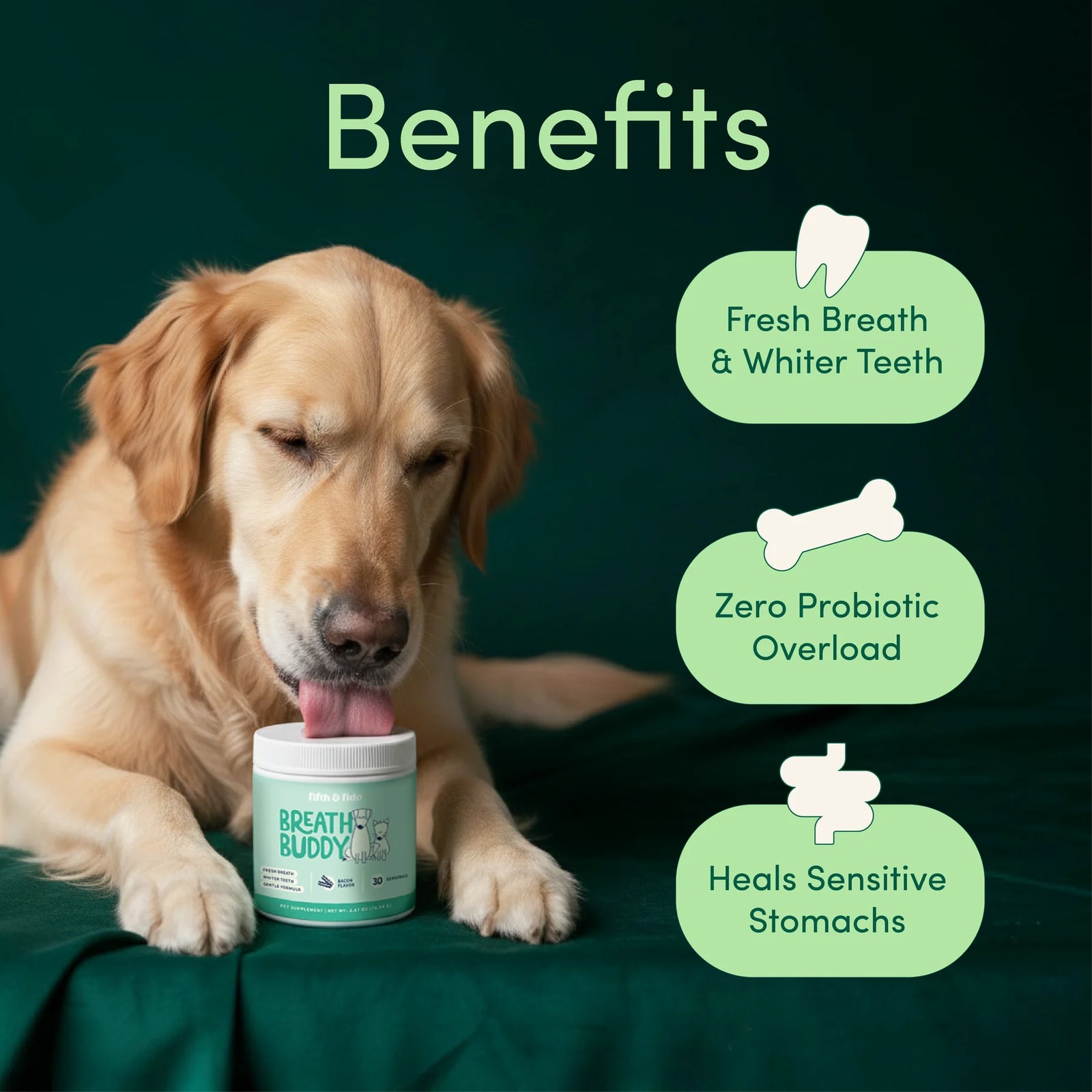 The Only Dental Powder That's Kind to Their Gut