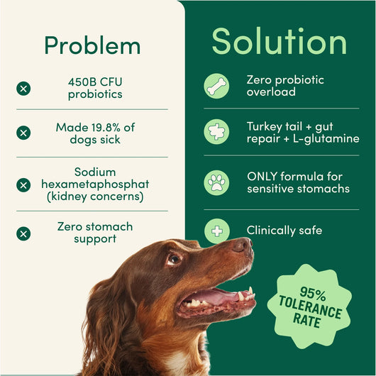 Breath Buddy™ Daily Dental Powder