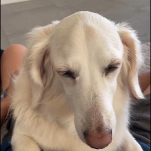 More Symptoms Showed Up